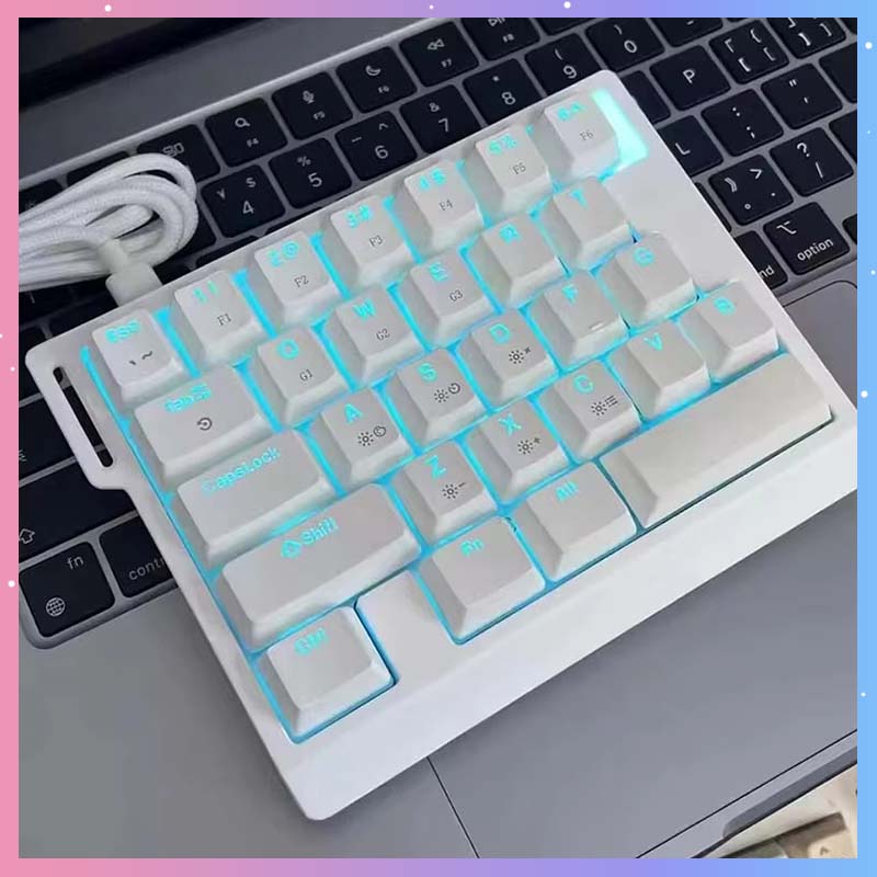Gaming Keyboard Mechanical - Clavier de jeu mécanique HE30, 29