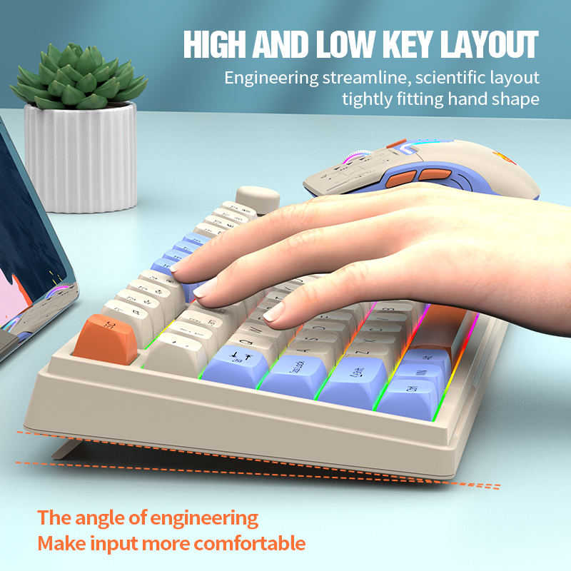 Combo clavier et souris de jeu - Gaming Keyboard Ergonomics avis et prix